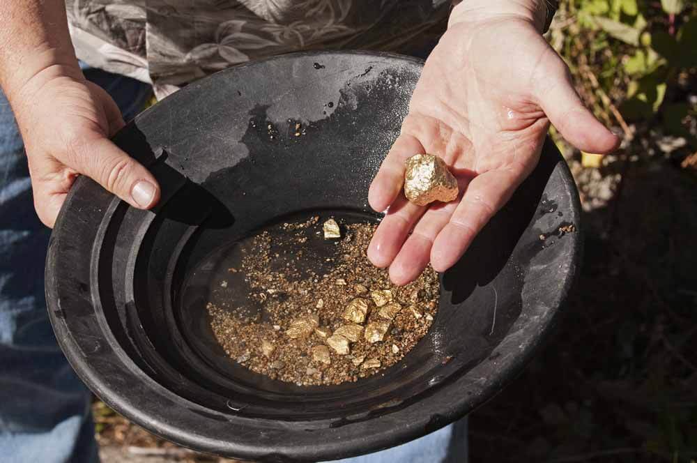 Learn whether panning for gold is worth it?
